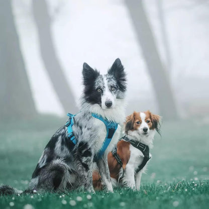 Adjustable Reflective No-Pull Dog Harness - Comfortable Control Vest in Brilliant Colors (Blue, XS)