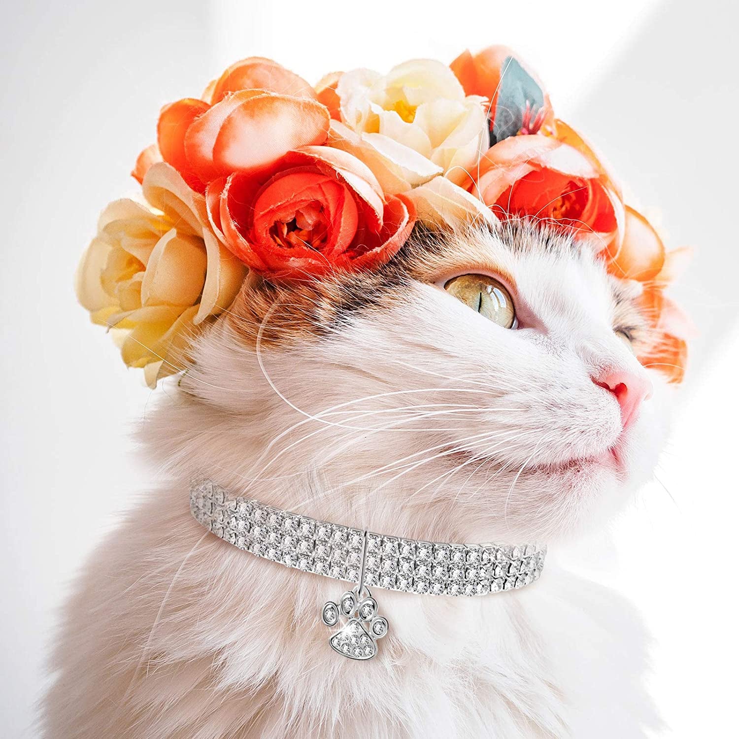 Set of 3 Adjustable Rhinestone Pet Collars with Glitter Pendant for Small Dogs and Cats (White)